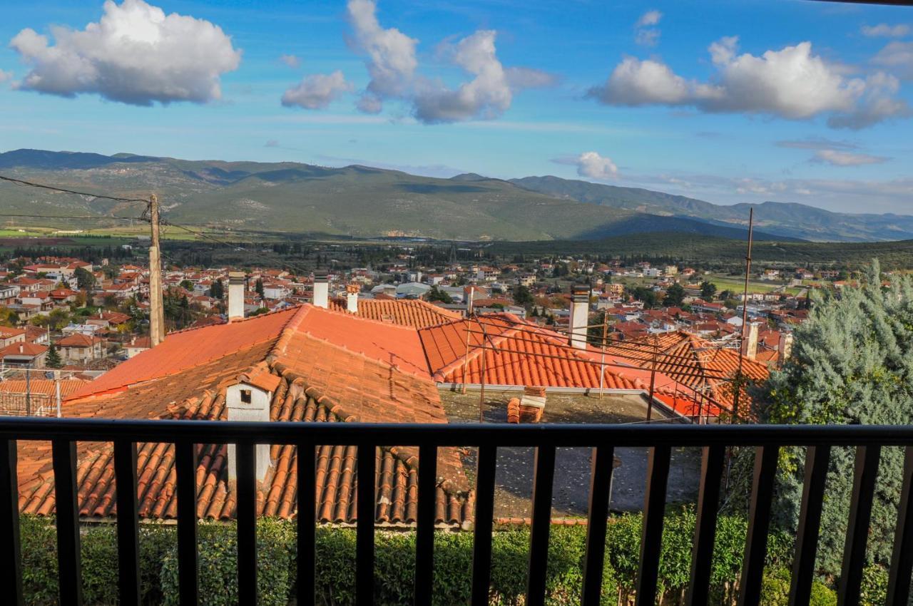 Dandy Villas Amfiklia - Pasithea - Stunning View - Fireplace - Parking Αμφίκλεια Εξωτερικό φωτογραφία