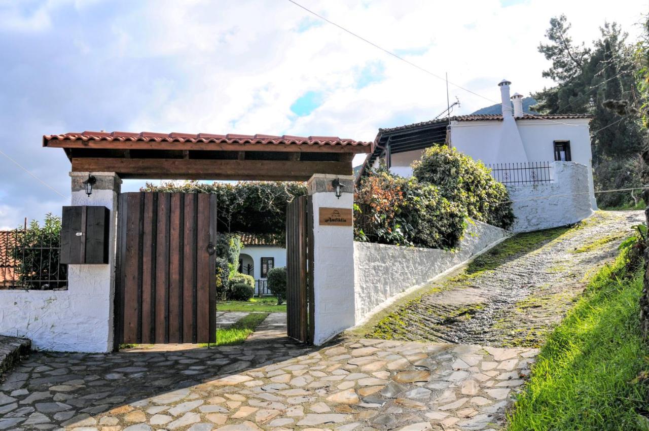 Dandy Villas Amfiklia - Pasithea - Stunning View - Fireplace - Parking Αμφίκλεια Εξωτερικό φωτογραφία