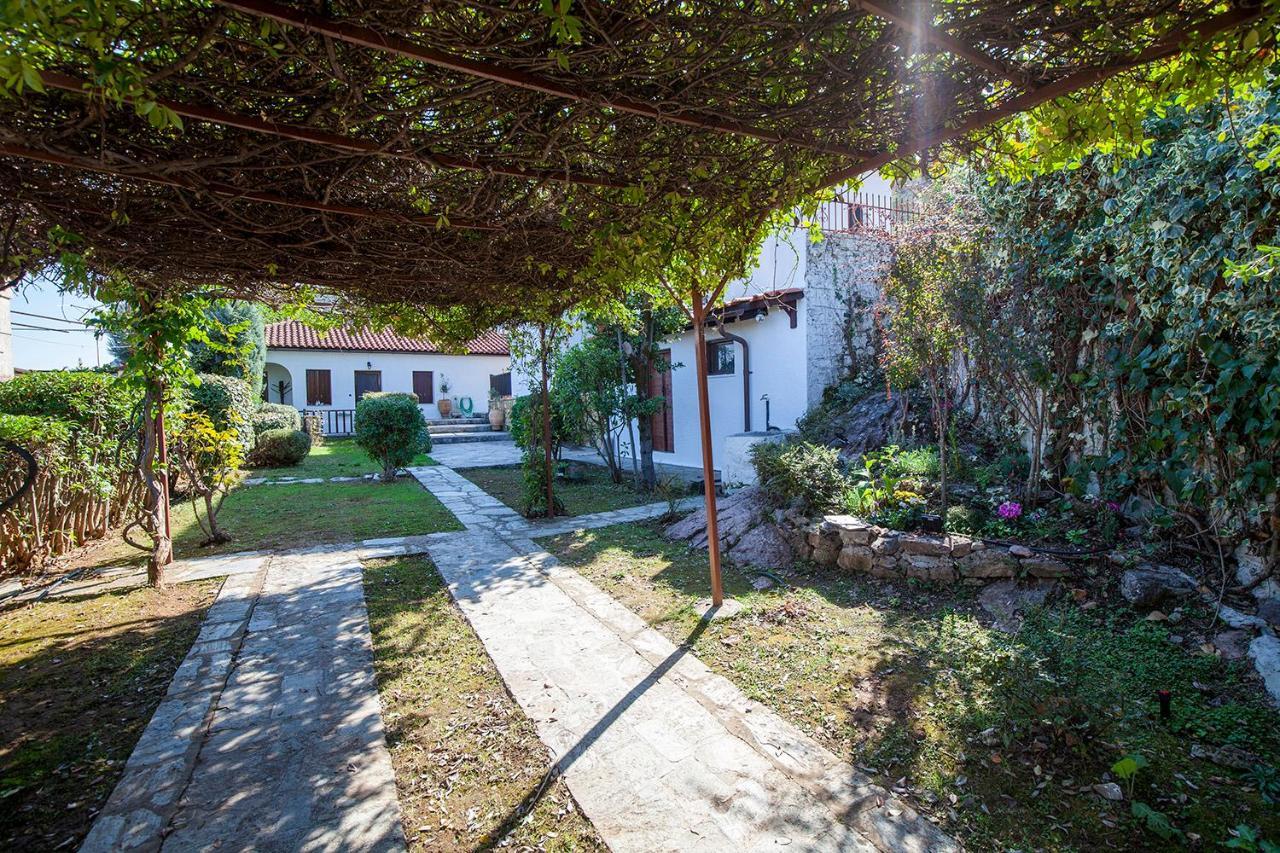 Dandy Villas Amfiklia - Pasithea - Stunning View - Fireplace - Parking Αμφίκλεια Εξωτερικό φωτογραφία
